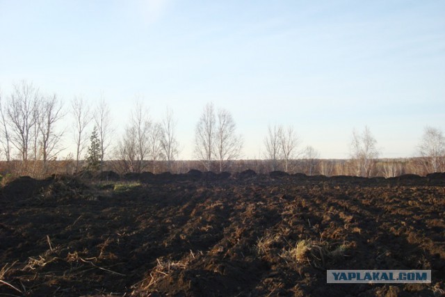Находку из золота и серебра собирали по всему полю