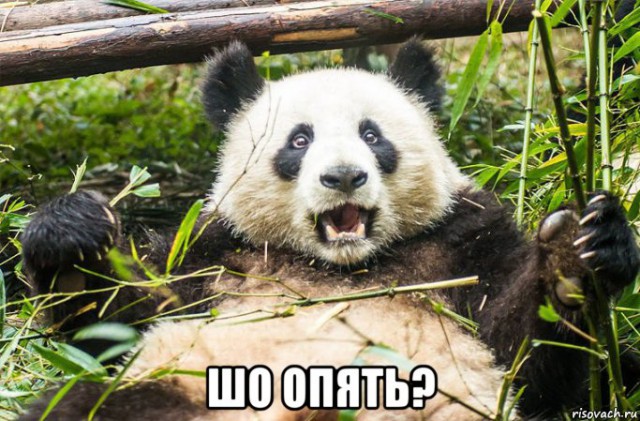 Армия движется на Париж