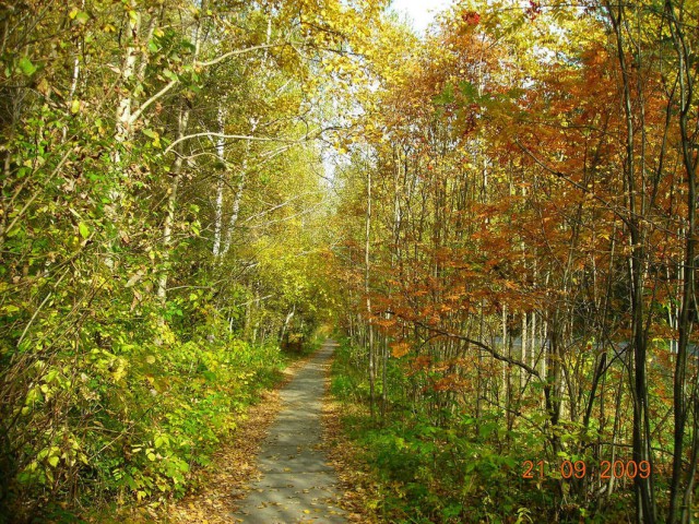 Красота сельских дорог