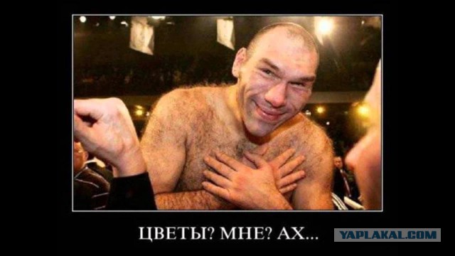В Инстаграме феминистки подгорело и бомбануло после отказа в бесплатном креме