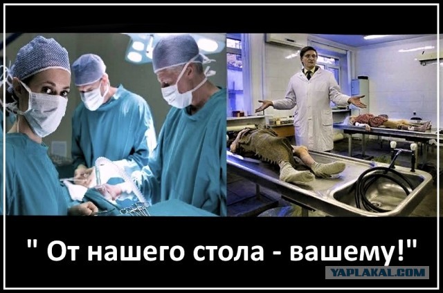 По ту сторону