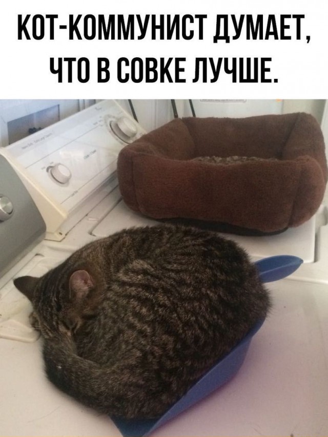 Эх....было время, не то что сейчас!