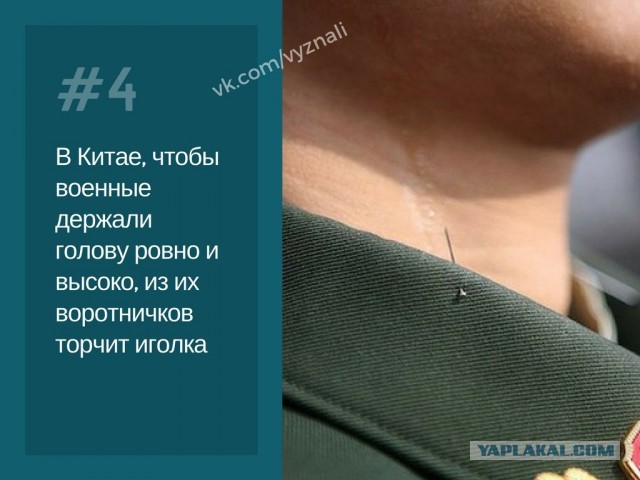 WTF: что тут происходит? 15.03.20