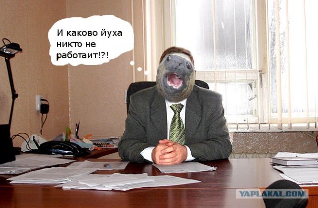 Фотожаба: Новое лицо компании Adobe