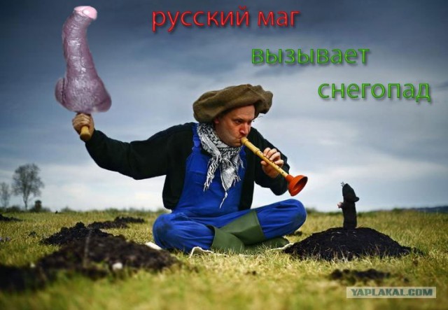 Охота на сусликов