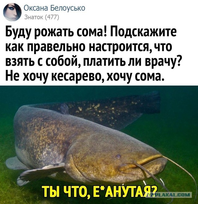 Сейчас в Варшаве
