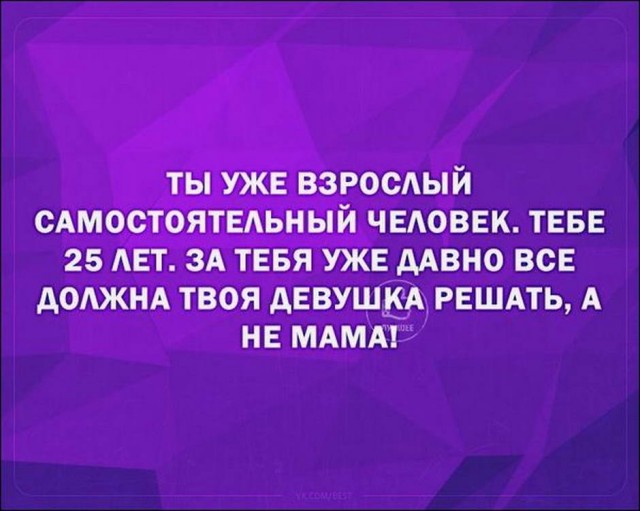 Веселые истории о нас №237
