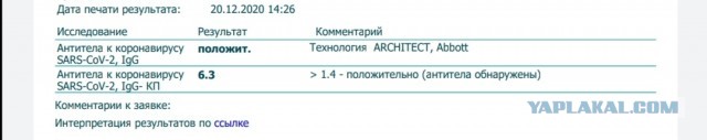 Пандемия. Коронавирус. Россия и мир. Последняя информация. Часть 20