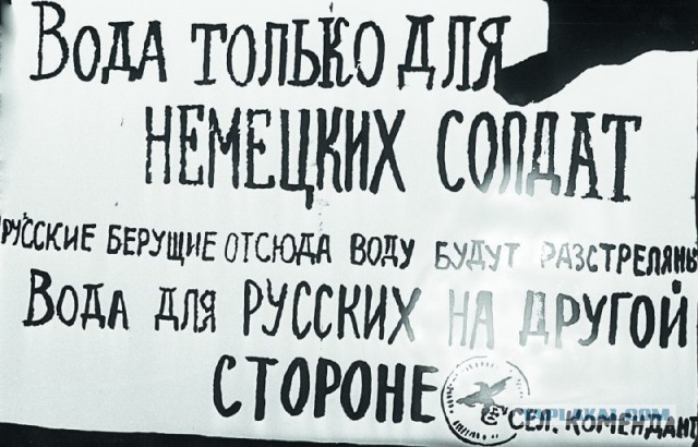 Пили бы баварское, говорите?