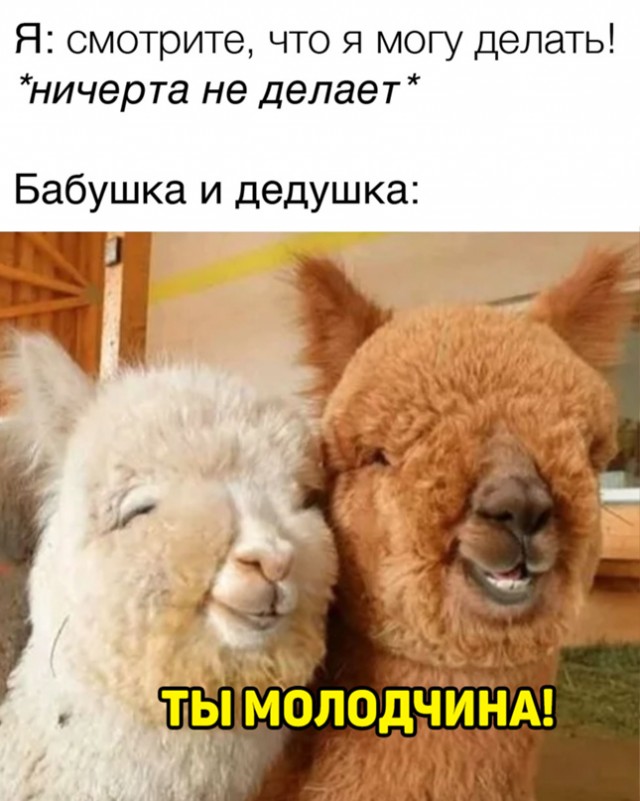 Весёлый полтишок 31.03