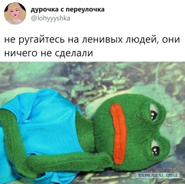 Свинегрет: картинки, надписи и прочее на 06,07.202 или №31