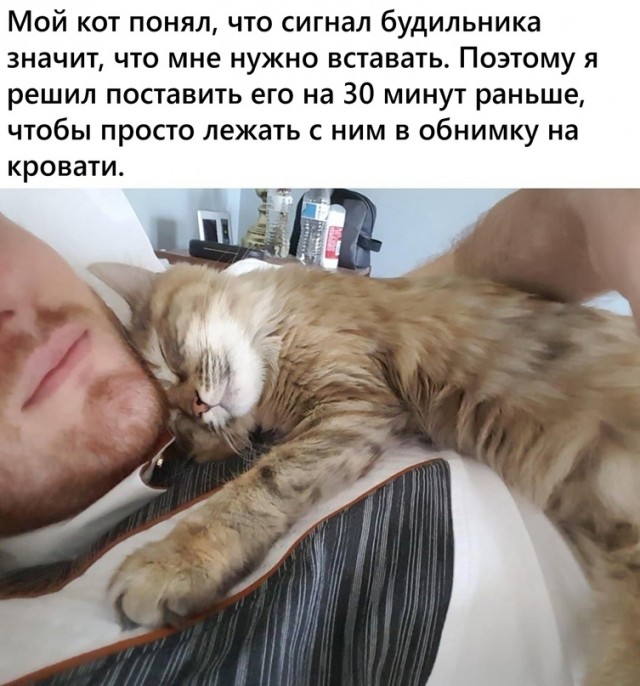 Картинки и мемы для настроения 12.07.2021