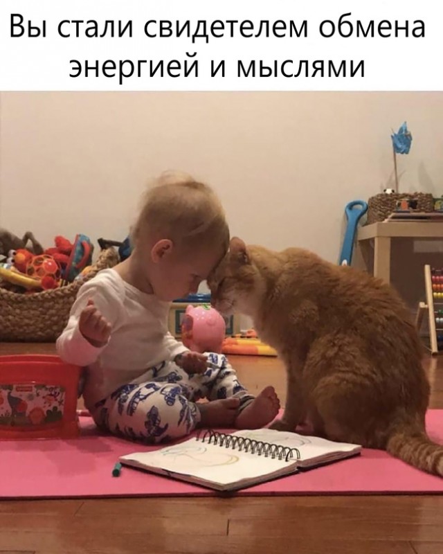 Весёлый полтишок 20.07