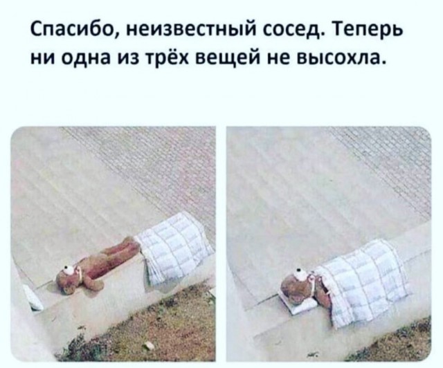 Кретинизмы из сети 16.08.2021