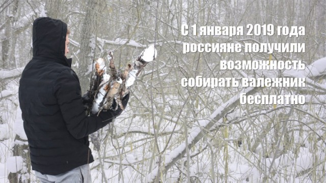 В США установили рекорд в термоядерном синтезе — мощность реакции в 440 тысяч раз превысила мощность крупнейшей ГЭС мира