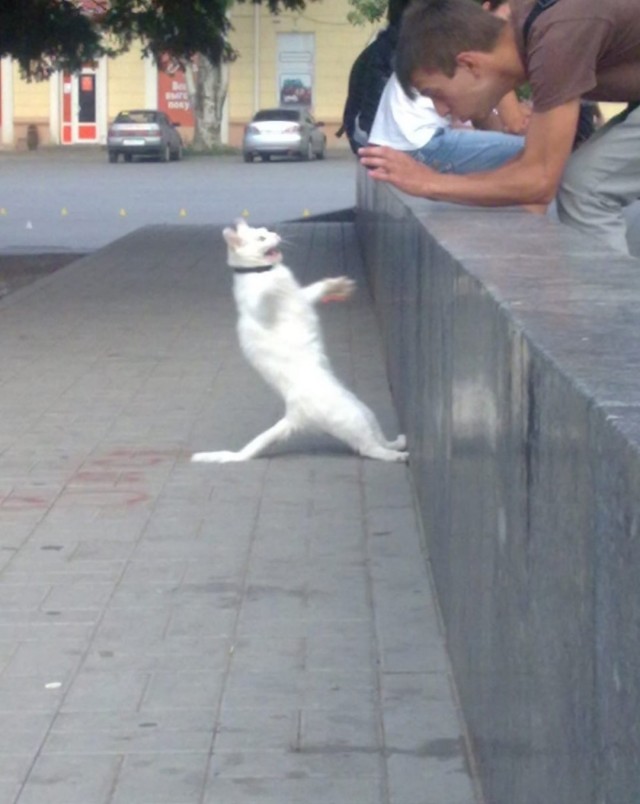 Кто здесь?!