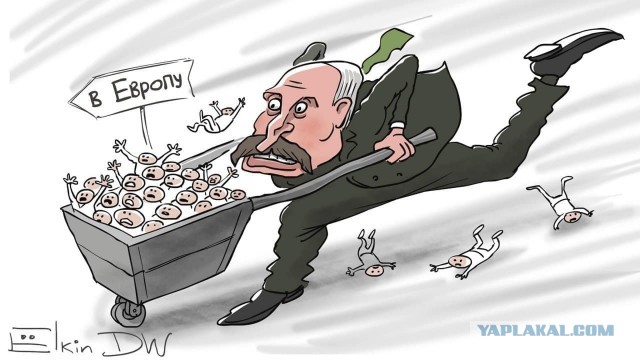Тем временем правда из лагеря беженцев