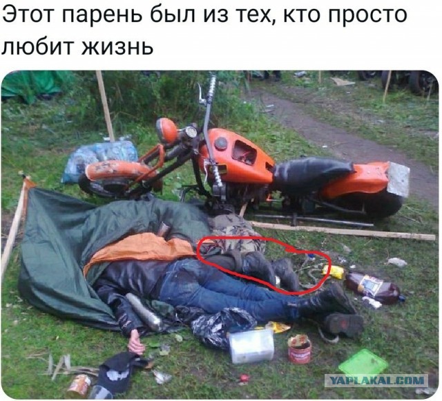 Так себе картинки 15.11.21