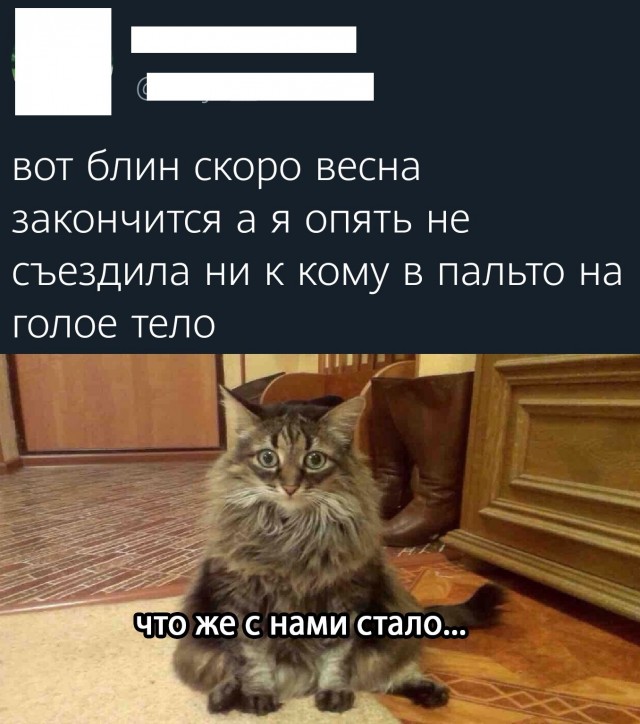 Баяны бабыЯны