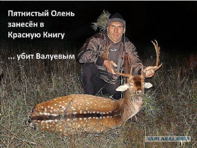 В Казани уже четвертый день кошмарят кафе, отказавшееся пускать посетителей только по QR-кодам