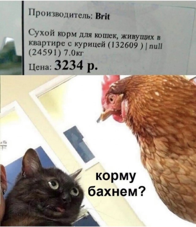 Картинки и мемы, всем прекрасных выходных