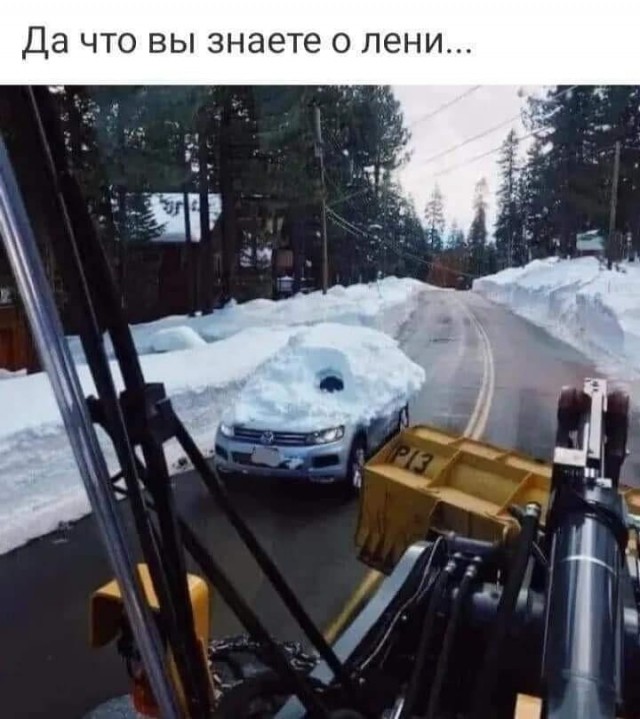 Всяческие картинки 08.12.2021