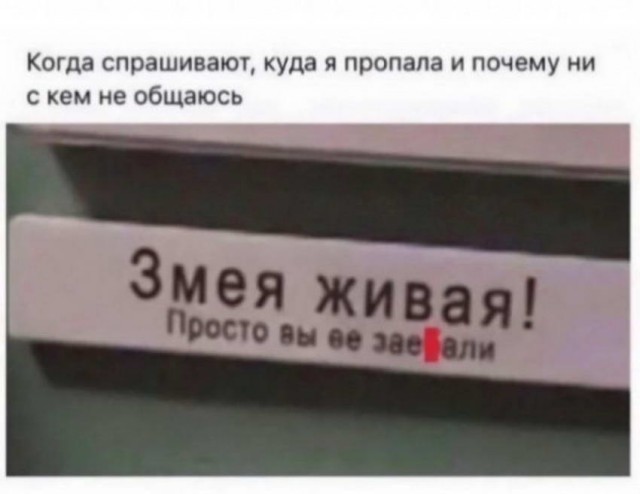 Всяческие картинки 22.12.2021