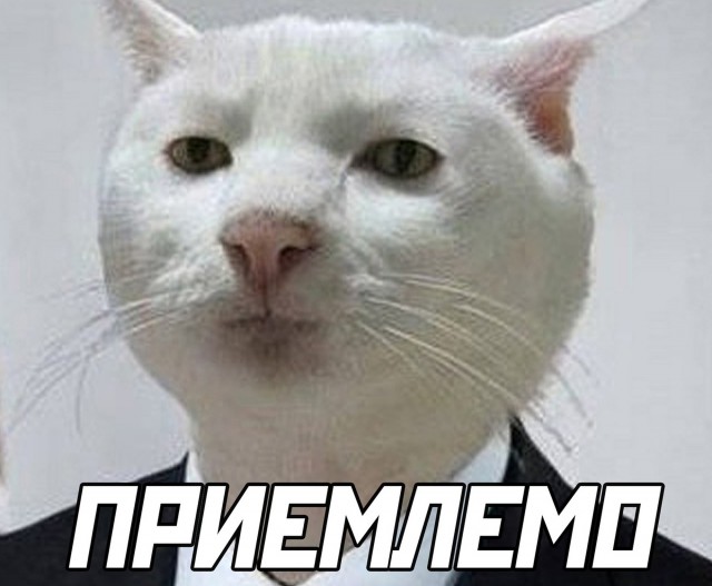 Документы давай