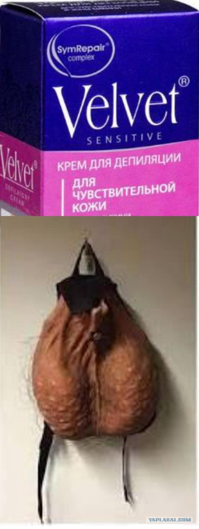На ЯПе вообще есть молодые?
