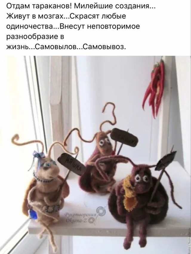 Баянисто-небаянистый юмор 30.03.22