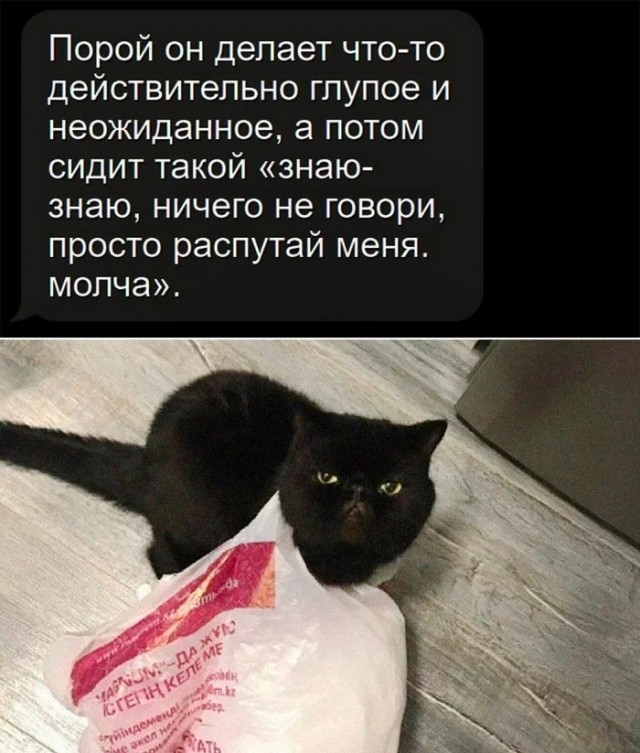 Так себе картинки 31.05.22