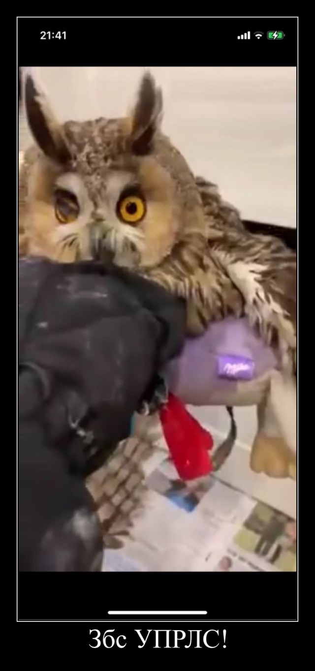 Хищники