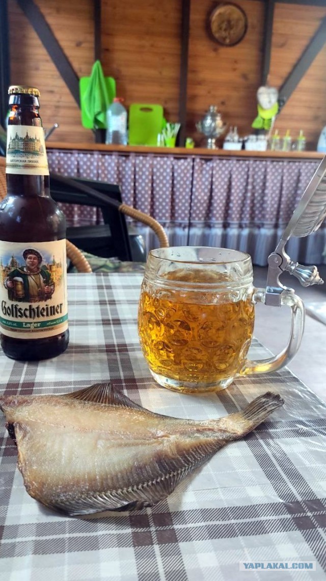 А какое БУТЫЛОЧНОЕ пиво пьешь ты?