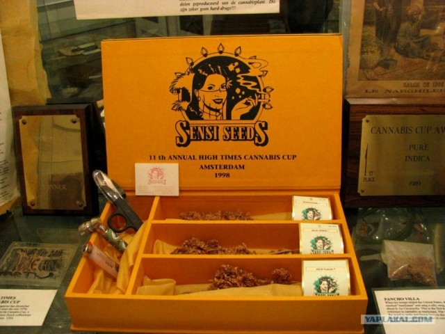 Голландия !