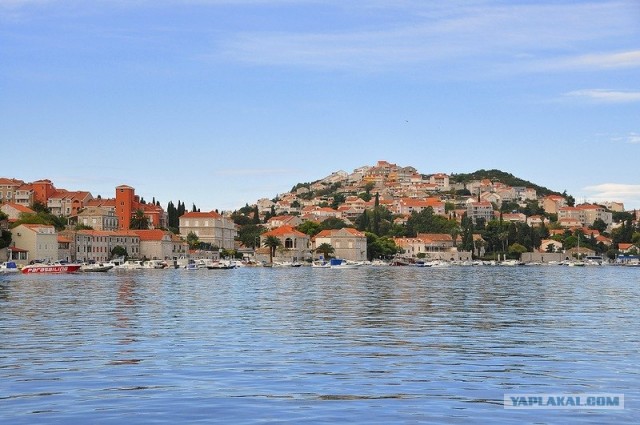 Любовь с первого взгляда