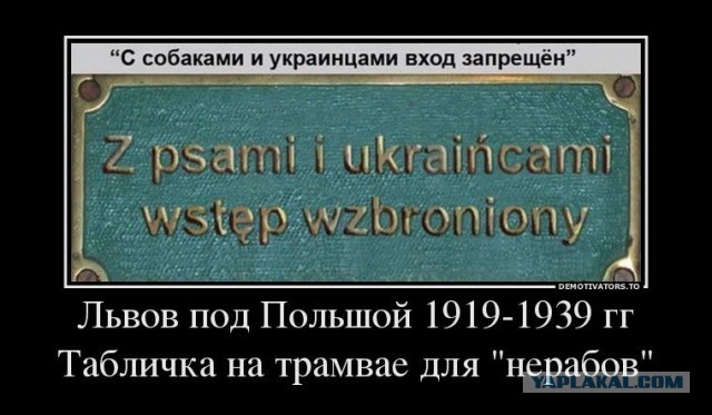 Какое последнее фото у вас в телефоне?