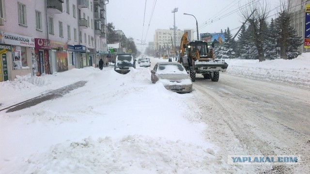 Весна пришла,весне дорогу!