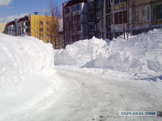 Весна на Камчатке