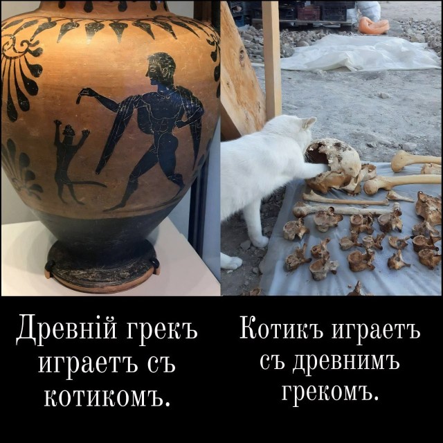 Народная меДИЧина 7016
