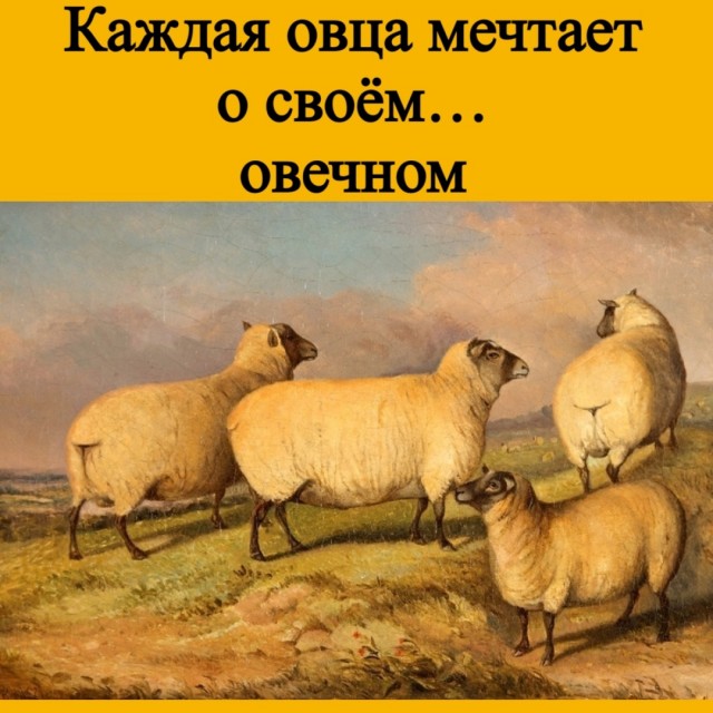 Нуштош 05.05.2023