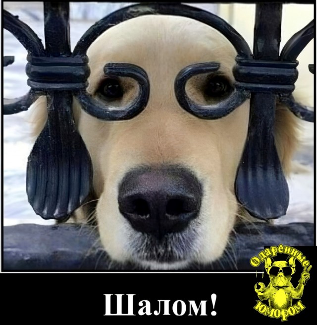 Юмор в картинках и без 09.05.2023