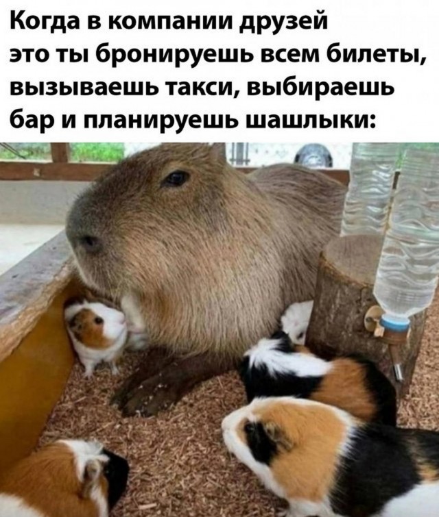 Прикольные и просто красивые картинки 16.05.2023