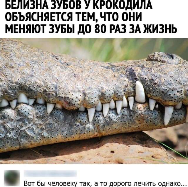 Картинки и мемы для настроения - 181