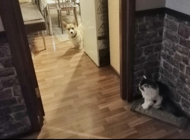 Ушло поколение нормальных женщин