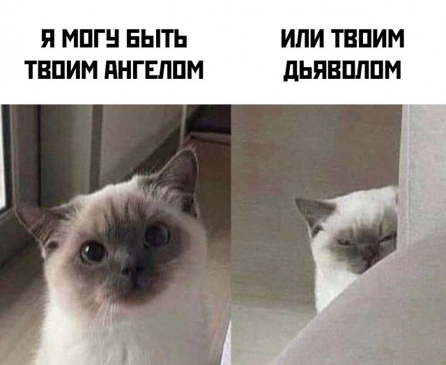 Картинки и тексты улыбательные