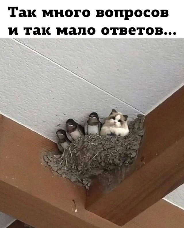 Так себе картинки 22.10.23