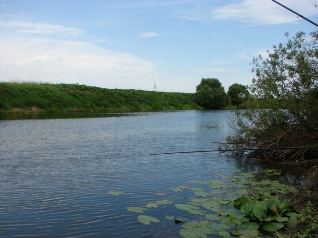 Красивые фото ЯПа