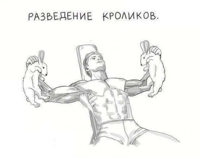 Не очень адекватный юмор