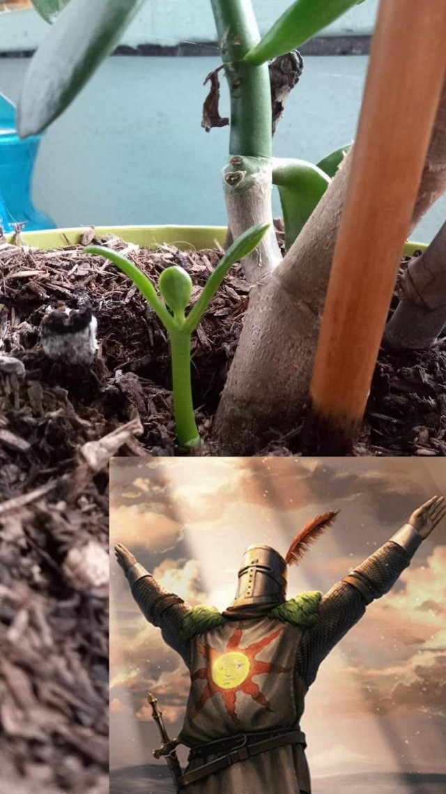 ФотоВинегрет