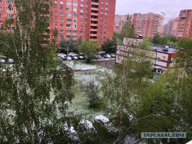 Май, Снег, Москва